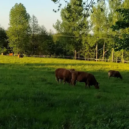 Alloggio per agriturismo Marko , Guja