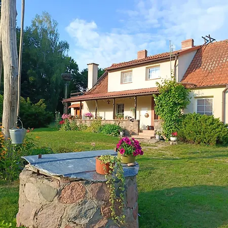 Marko , Guja Węgorzewo